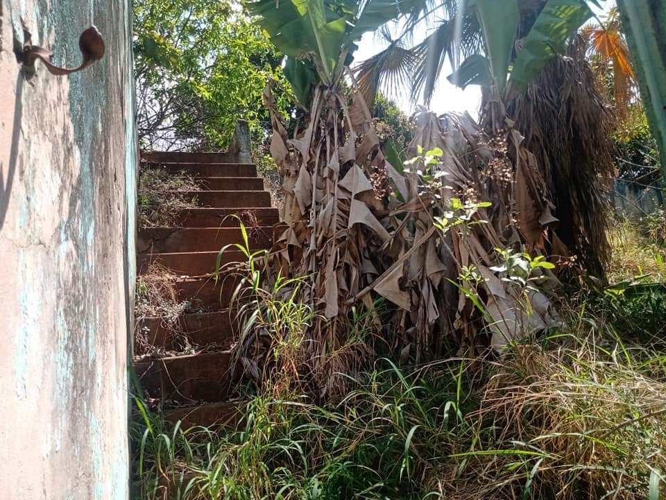 Foto 12 de 12 — Moradores reclamaram do abandono de antigo campo de futebol, na Vila Xavier
